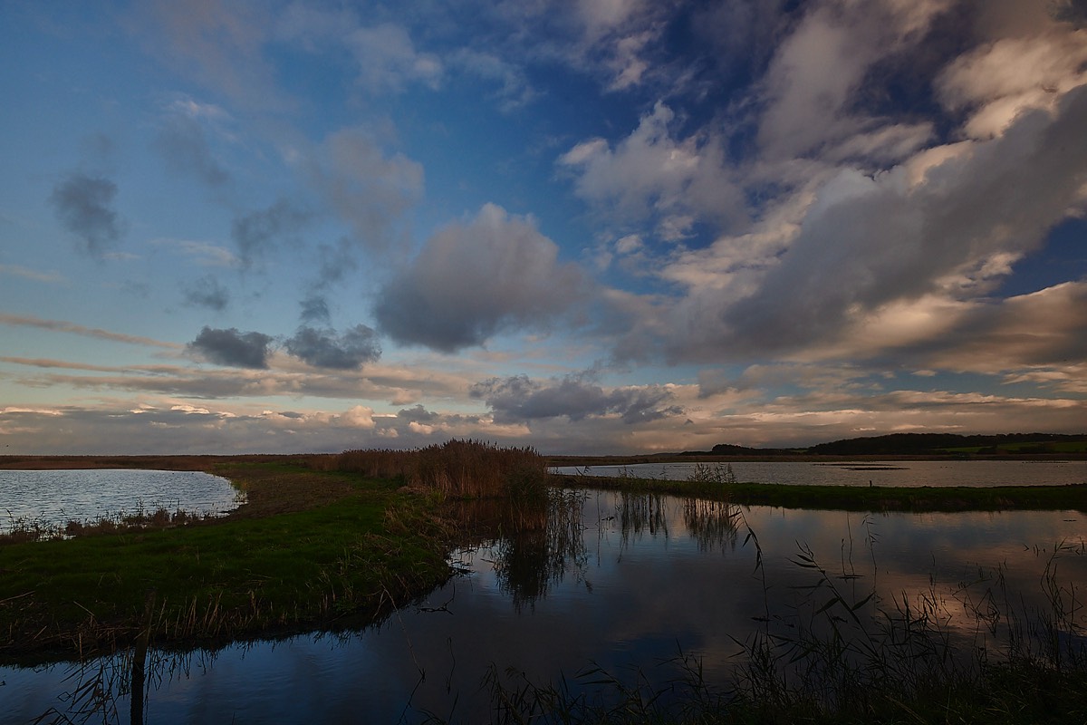 Cley Marshes 02/12/22