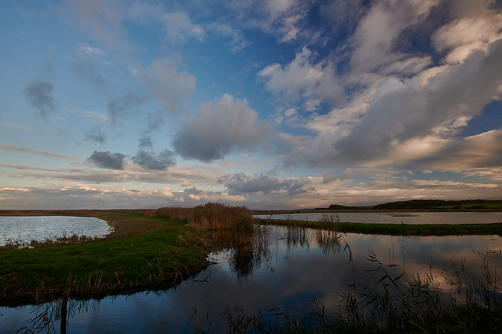 Cley021222-1