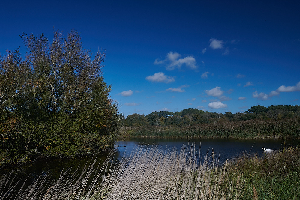 CranwichPits021022-3